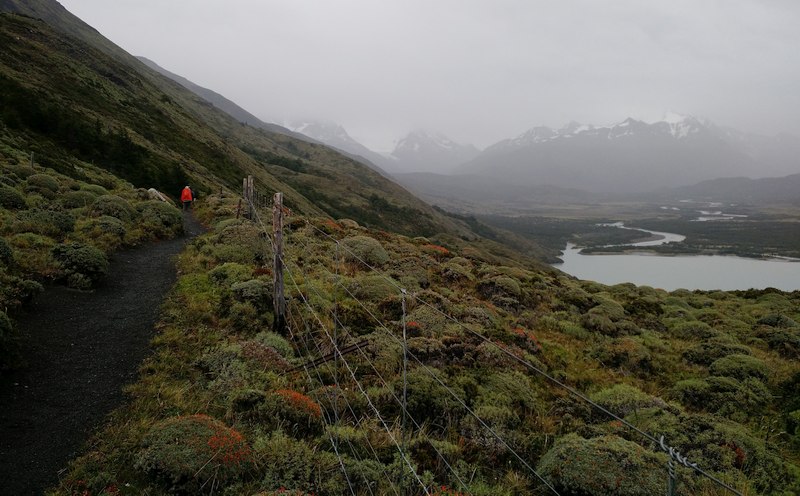Looking west into fog and mountains from the trail above Lago Paine, about to re-enter park property