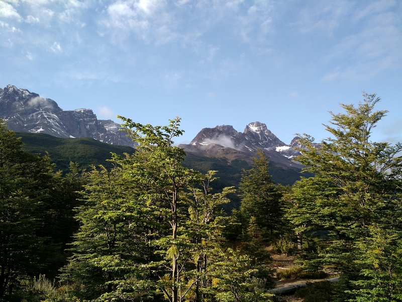 Different colored peaks through the trees at Valle Los Perros Lookout